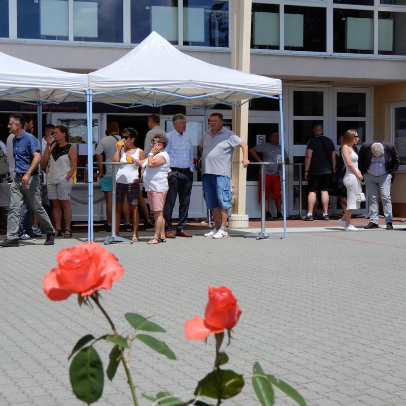 Semmelweis napi party 80